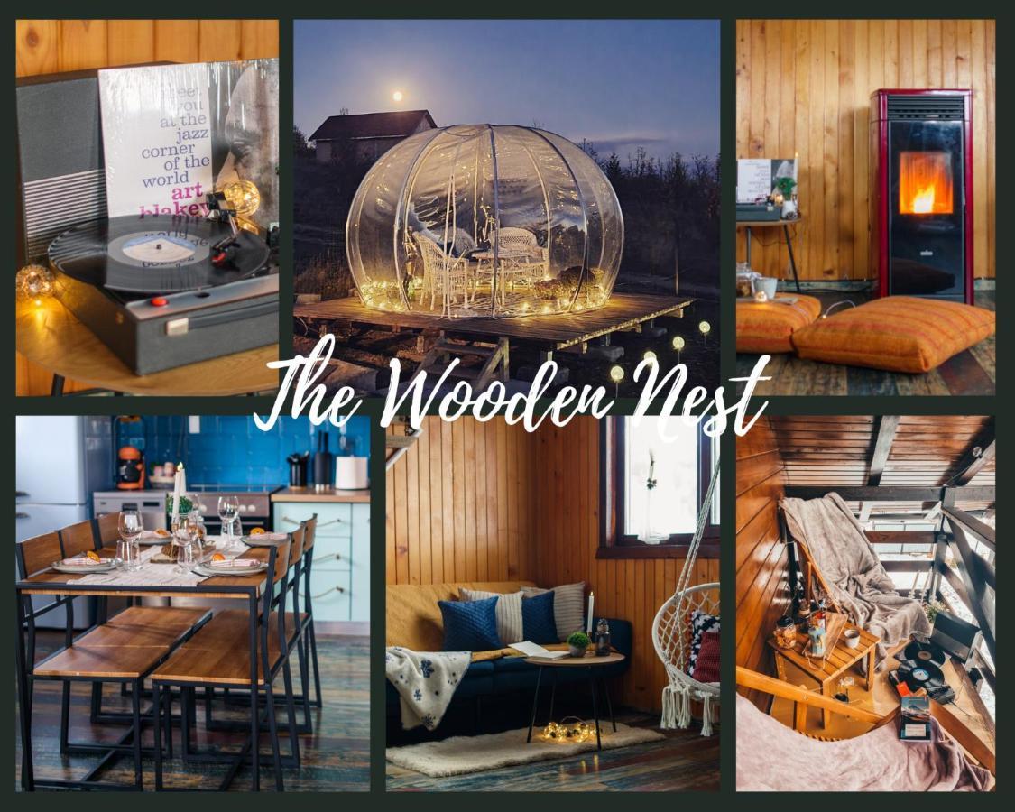 The Wooden Nest -Covasna别墅 外观 照片