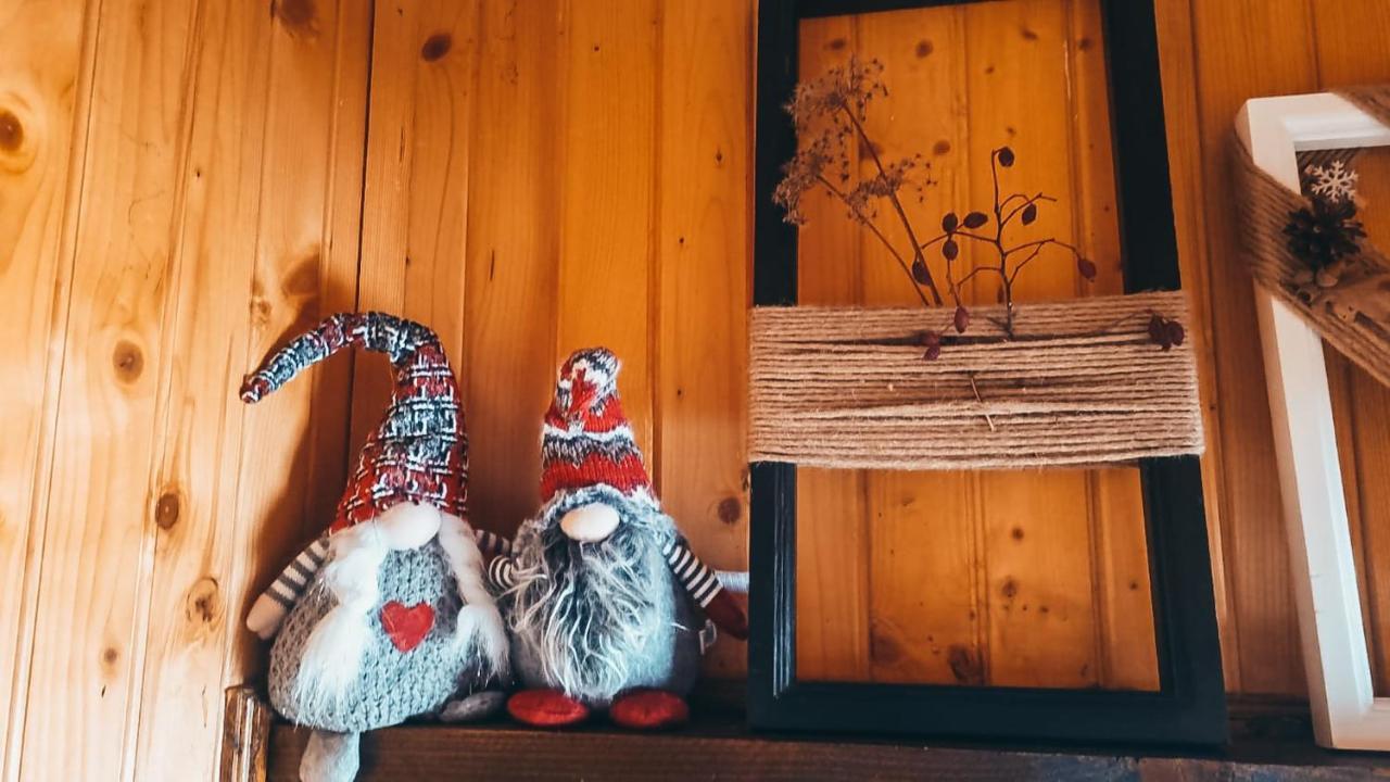The Wooden Nest -Covasna别墅 外观 照片